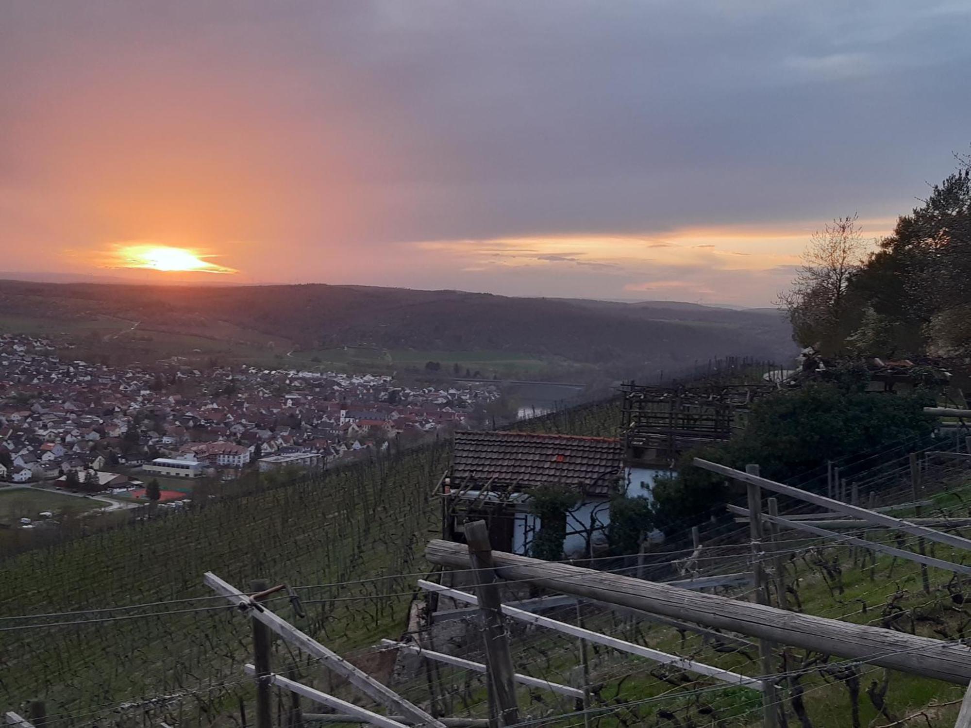 Ferienhaus An Der Hoeh' Zellingen Exteriör bild